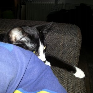 Allein im Bett ist Vergangenheit