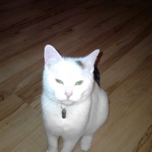 Mein kleiner Liebling <3