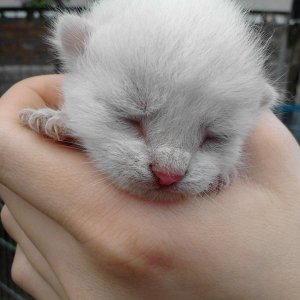 Da war mein Rolli 2 Tage alt *-*