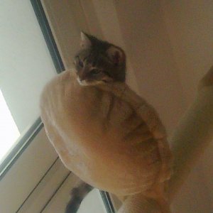 Ich habe alles im Blick!