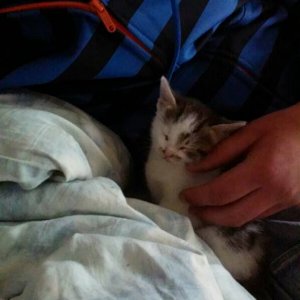 ist kuschel net schön Minka