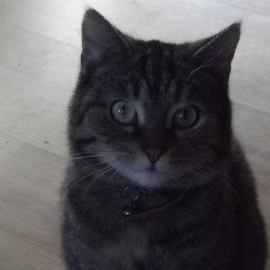 So hat sie immer geschaut wenn ich mit ihr geredet habe