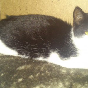 Zwar schlechte Qualität aber wenigstens etwas :)