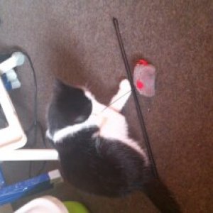 Am spielen
(ließ sich leider nicht drehen, sorryy...)