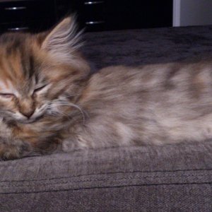 Voll weggeratzt erster Tag im neuen zu Hause