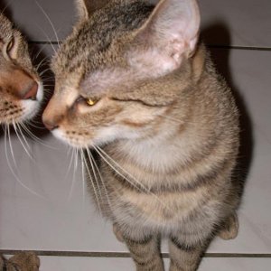 Küsschen vom Brüderchen
15.11.07