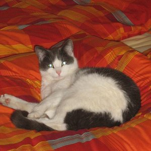 "du störst schon wieder"