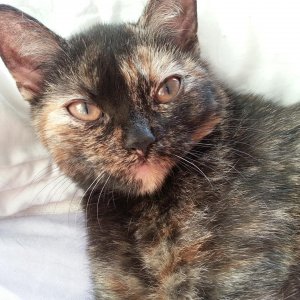 Da war sie schon im Schlafzimmer mit :-) 2013 08 27 07.20.32