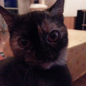 So eine Süße, kann ich euch sagen 2013 09 18 19.47.04