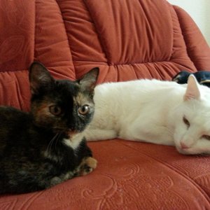 Da lagen sie schon sooo nah zusammen :-) 2013 09 22 09.01.06