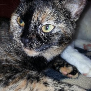 Der Blick hihi 2013 11 16 14.41.35