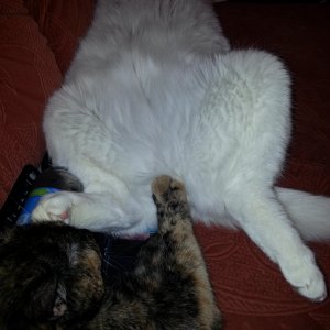 Das geilste Bild, was ich je gemacht habe *lol* 2013 12 07 00.15.40