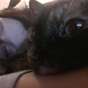 Kikkis Blick ist der Hammer!! 20131218 223554