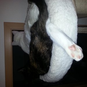 So entspannt hahaha 20140120 225202