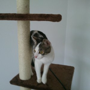 Bei ihrer Ankunft...