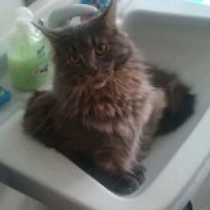 10 9A654641 403995 800