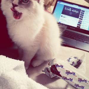 Gesättigt und zufrieden ..