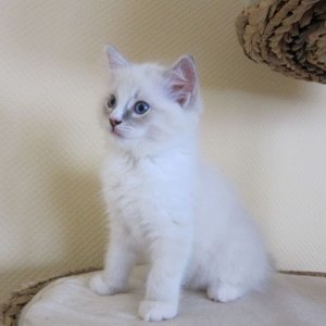 Lingling noch ganz jung :)