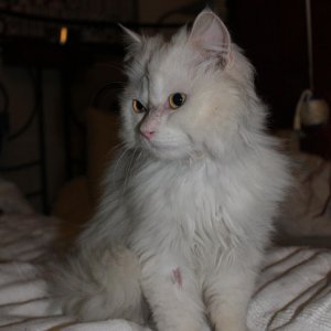 Neo - erster Tag bei mir