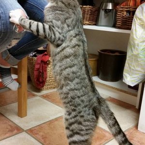 Er mag sehr gerne die Vitamin Paste 😋