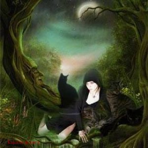 Meine 4 süssen Mietzen ( Milli,Siwa,Sora,Nero) und ich