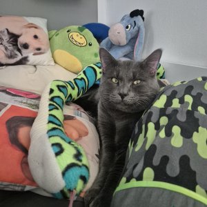 Im Bett vom Sohnemann