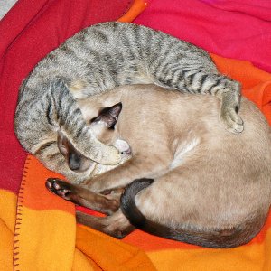 Wir lieben uns noch immer....