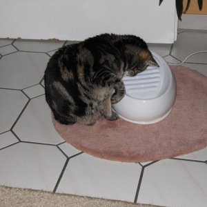 Lucy findet ihn auch fazinierend.. (-: