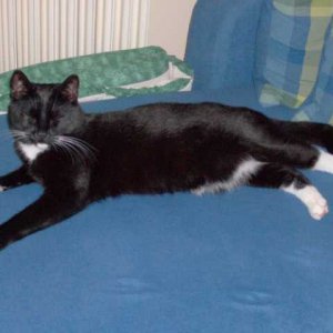 Mein Pinotchen heute