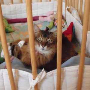 Im Laufstall ist es am schönsten.